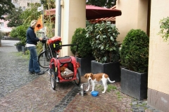 Fahrradtour nach Xanten: Fressi- und Wasserpause.