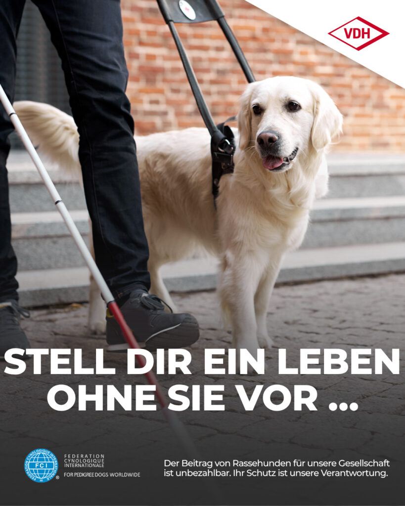 Kampagnenmotiv_01_Blindenhund_22.05.2026
